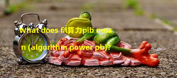 What does fil算力pib mean (algorithm power pb)?